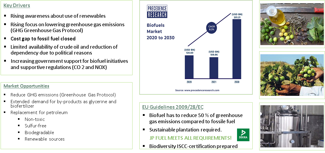 Megatrend biofuel effecting lucrative growth rates Megatrend biofuel effecting lucrative growth rates